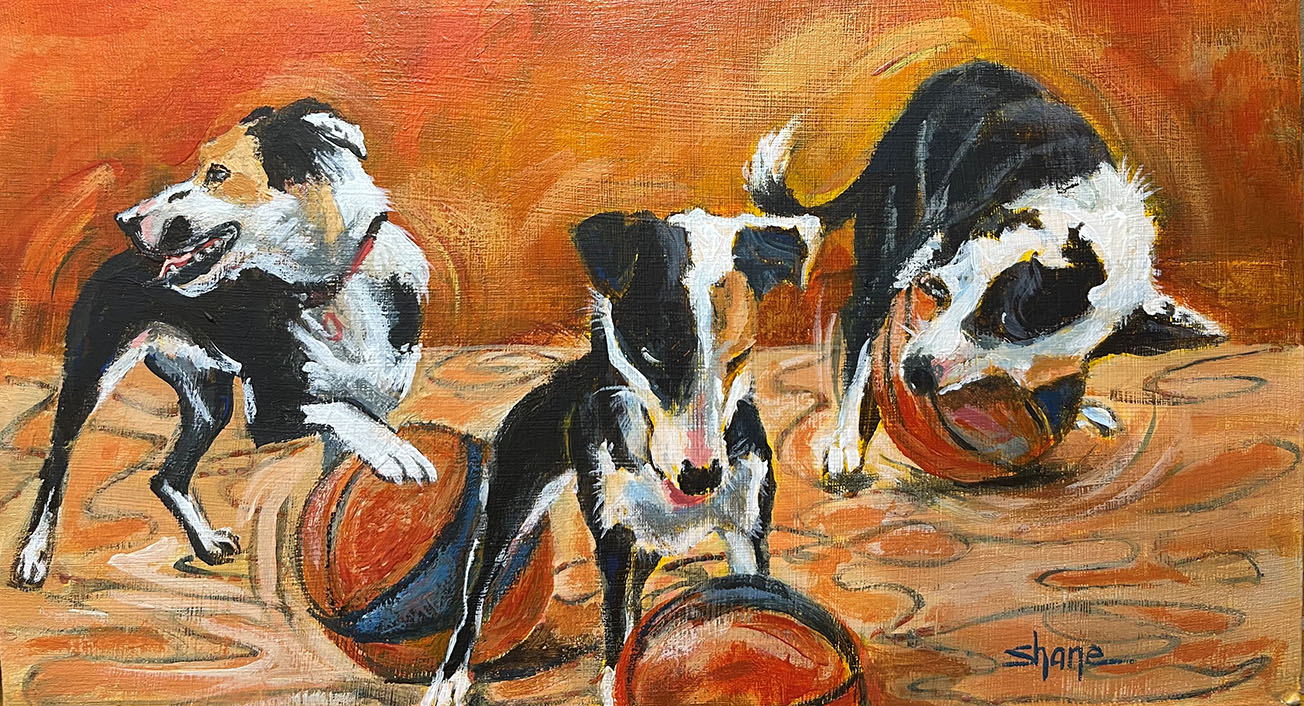 Soccer Dog 2