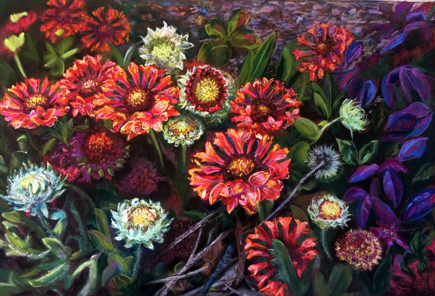 The Woodies' Garden