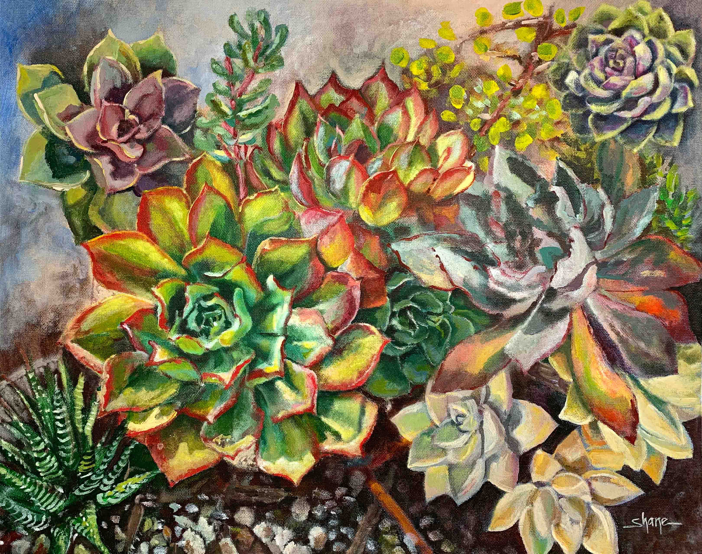 Succulent Variety